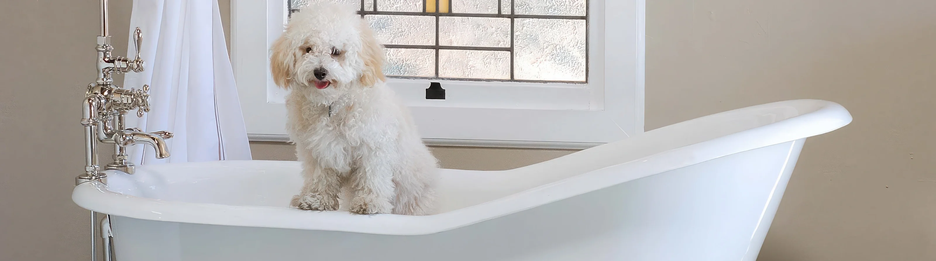 Timeless Luxury for Every Home
